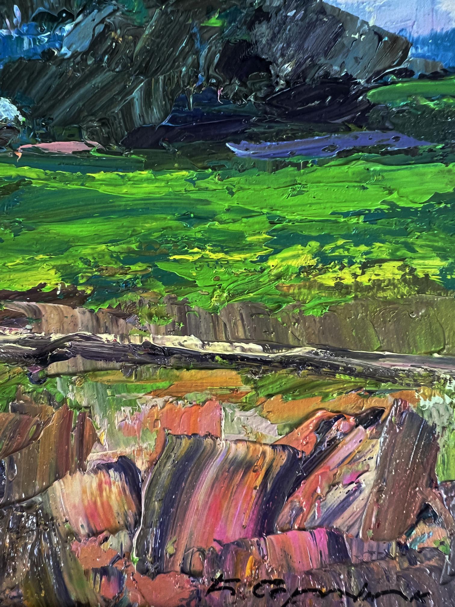 Vibrant impressionist oil painting The edge of the village by Boris Serdyuk