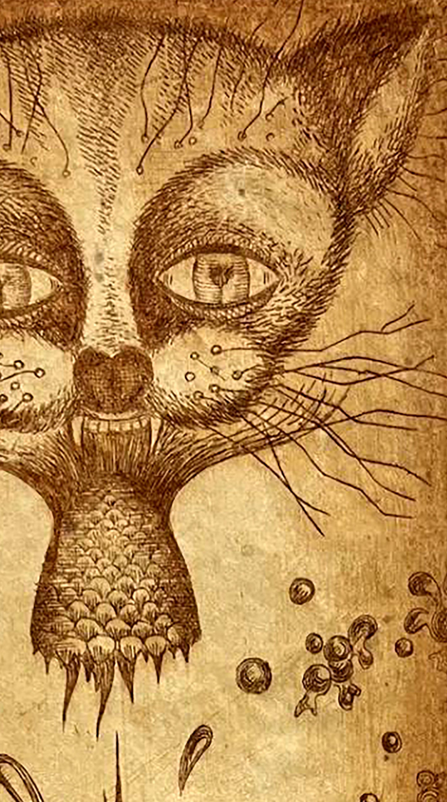 Detailed ink etching of surreal cat by Oleksandr Zhmailo on aged parchment