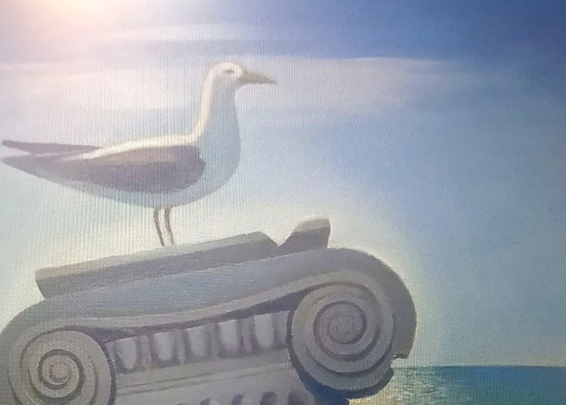 Stylized white gray seagull on classical column in Strashevich ruins oil painting