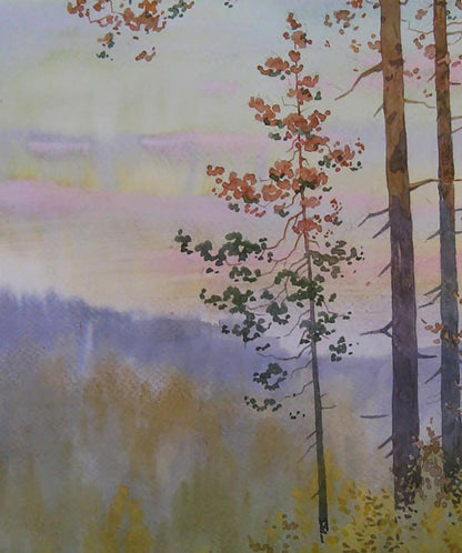 Watercolor painting Evening forest by Valery Savenets, tall pines