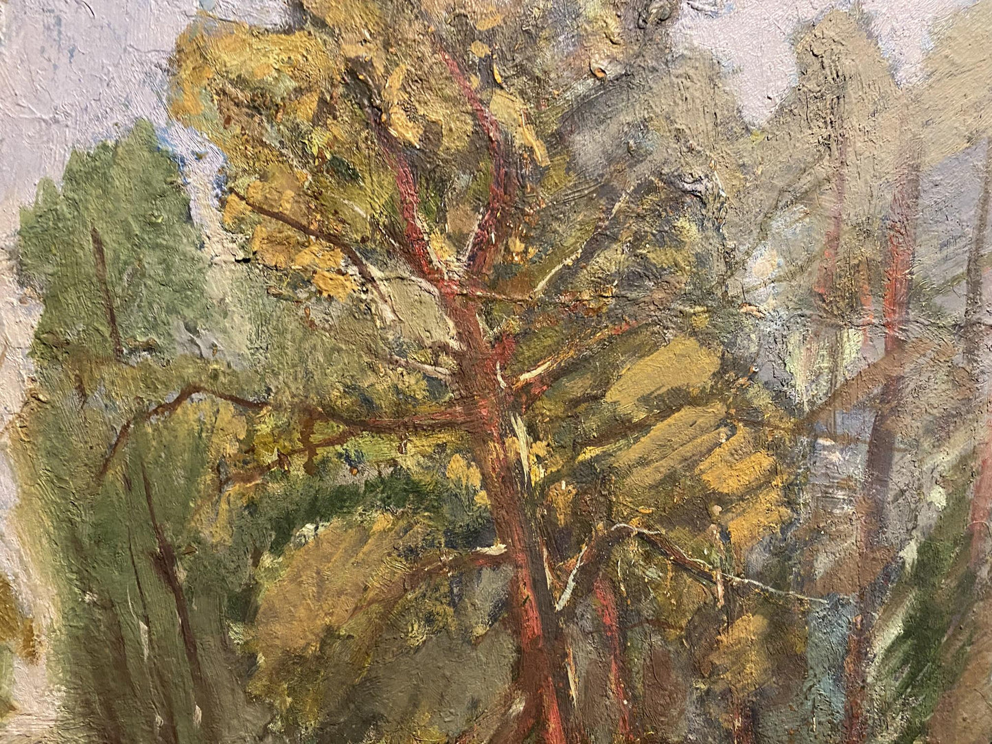 Oil painting of summer forest tree with reddish-brown bark and golden foliage