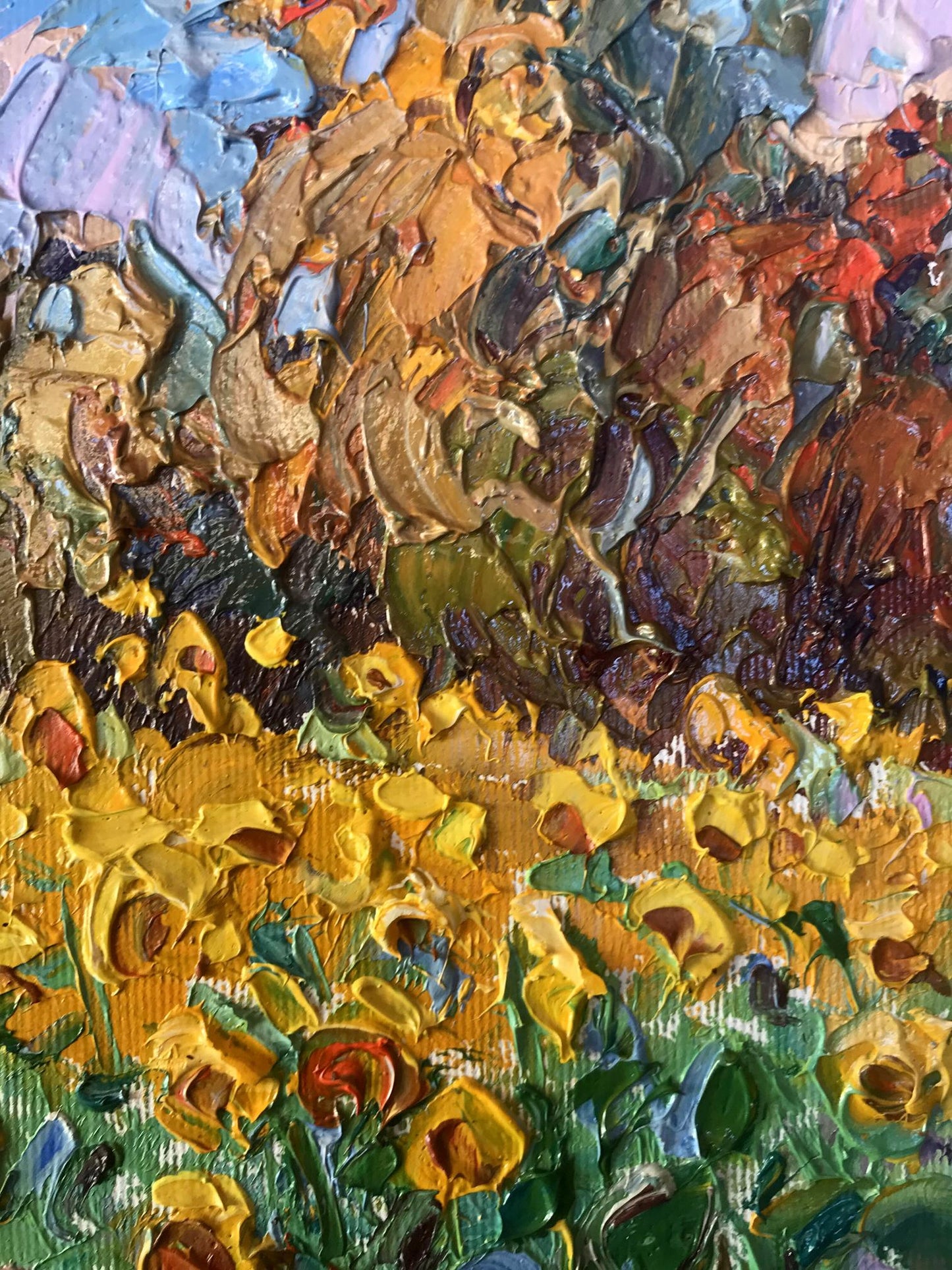 Summer Nature Landscape 