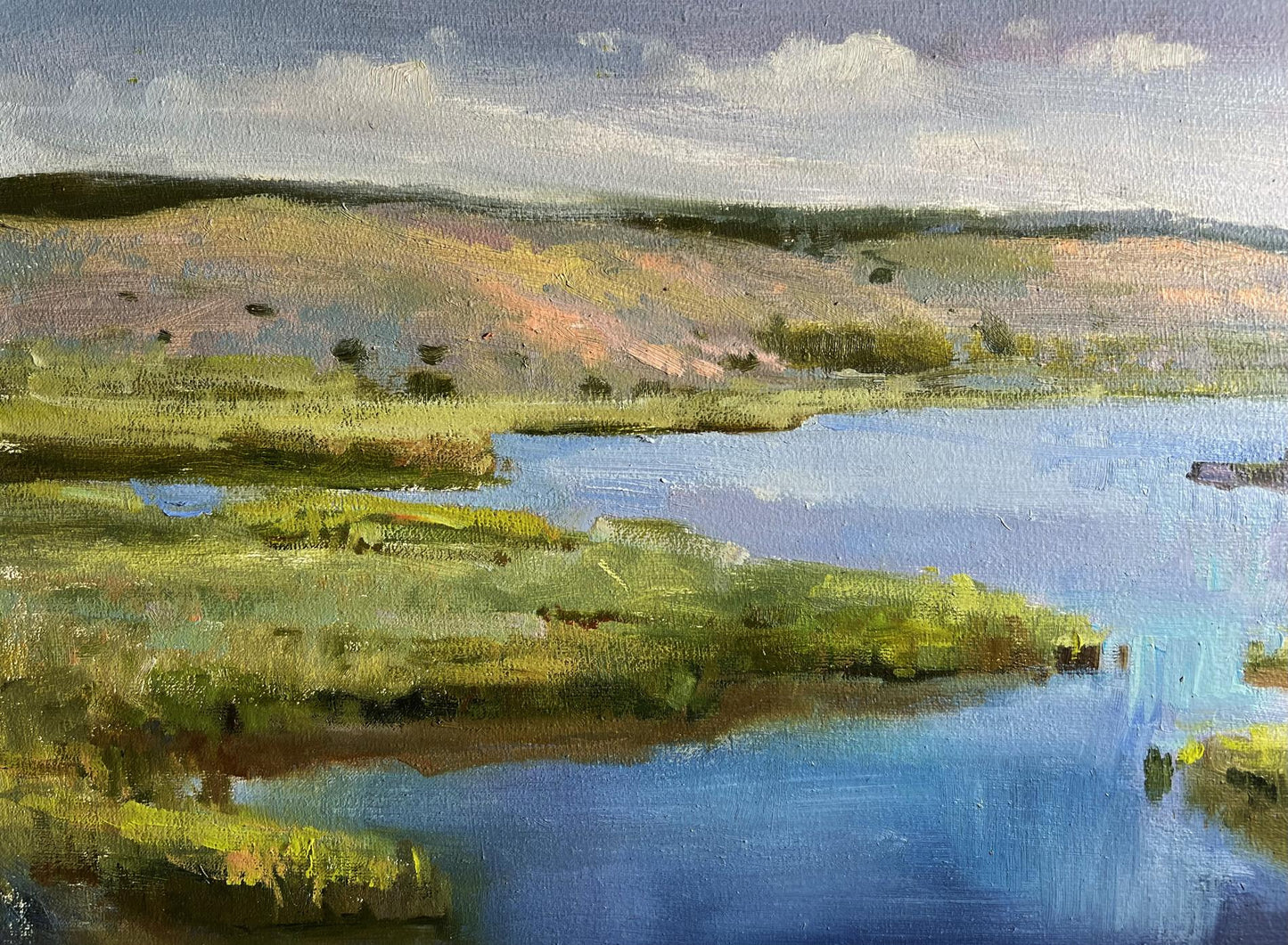 Oil painting Bright sunny summer day by Tatyana Derdey serene hills grasses water