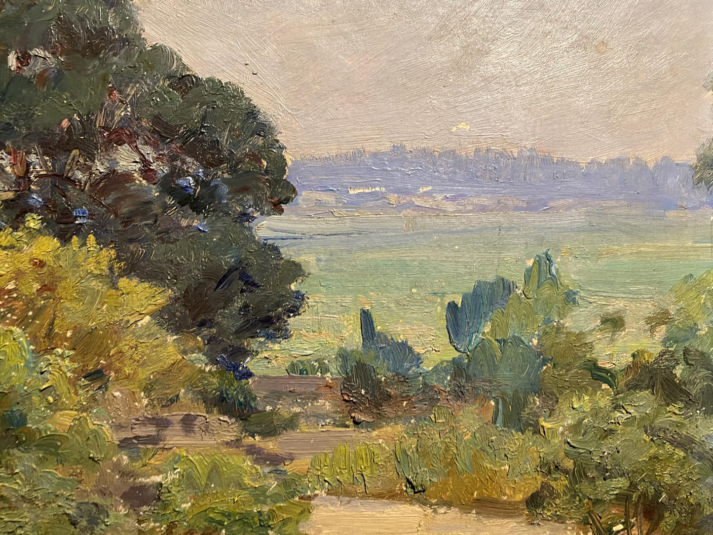 Impressionistic oil painting of Metropolitan Forest Reserve lush landscape