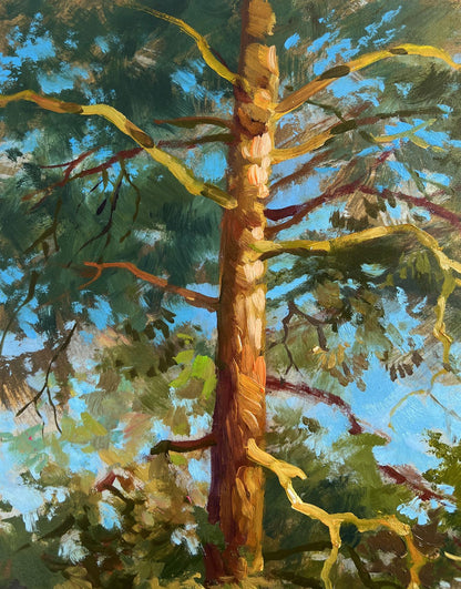 Oil painting of tall textured pine tree by Yuriy Suprunchuk