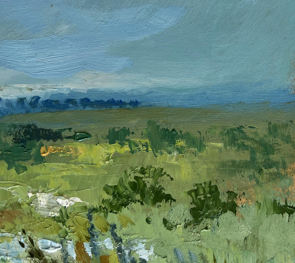 Oil painting of summer flower meadows by Yuriy Suprunchuk