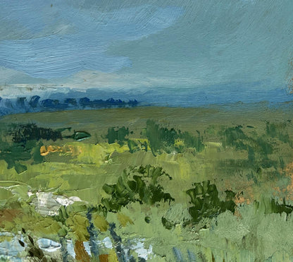 Oil painting of summer flower meadows by Yuriy Suprunchuk