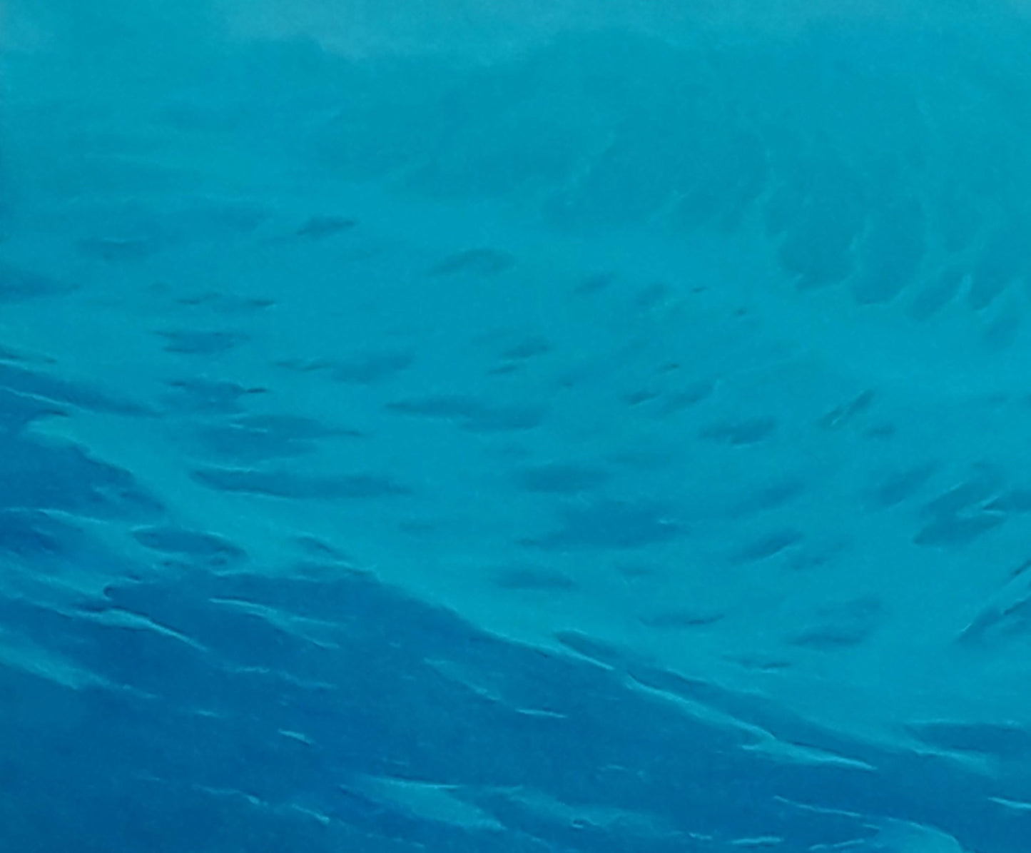 School of silvery fish in dawn waves oil painting by Vasily Korkishko