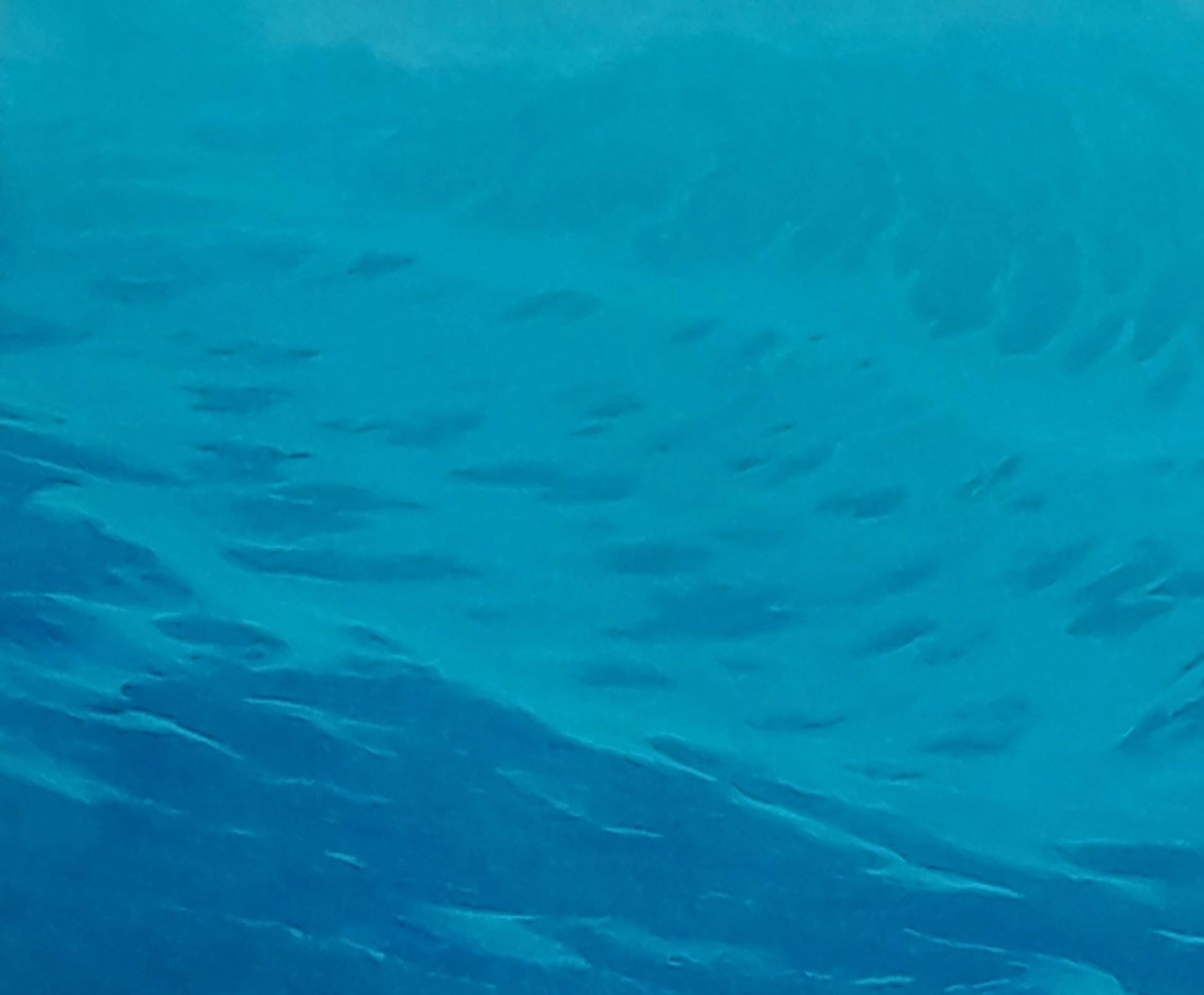 School of silvery fish in dawn waves oil painting by Vasily Korkishko