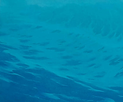 School of silvery fish in dawn waves oil painting by Vasily Korkishko
