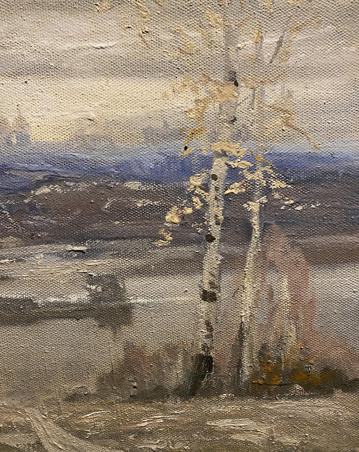 Oil painting On the river bank by Anatoly Shariy: birch trees landscape