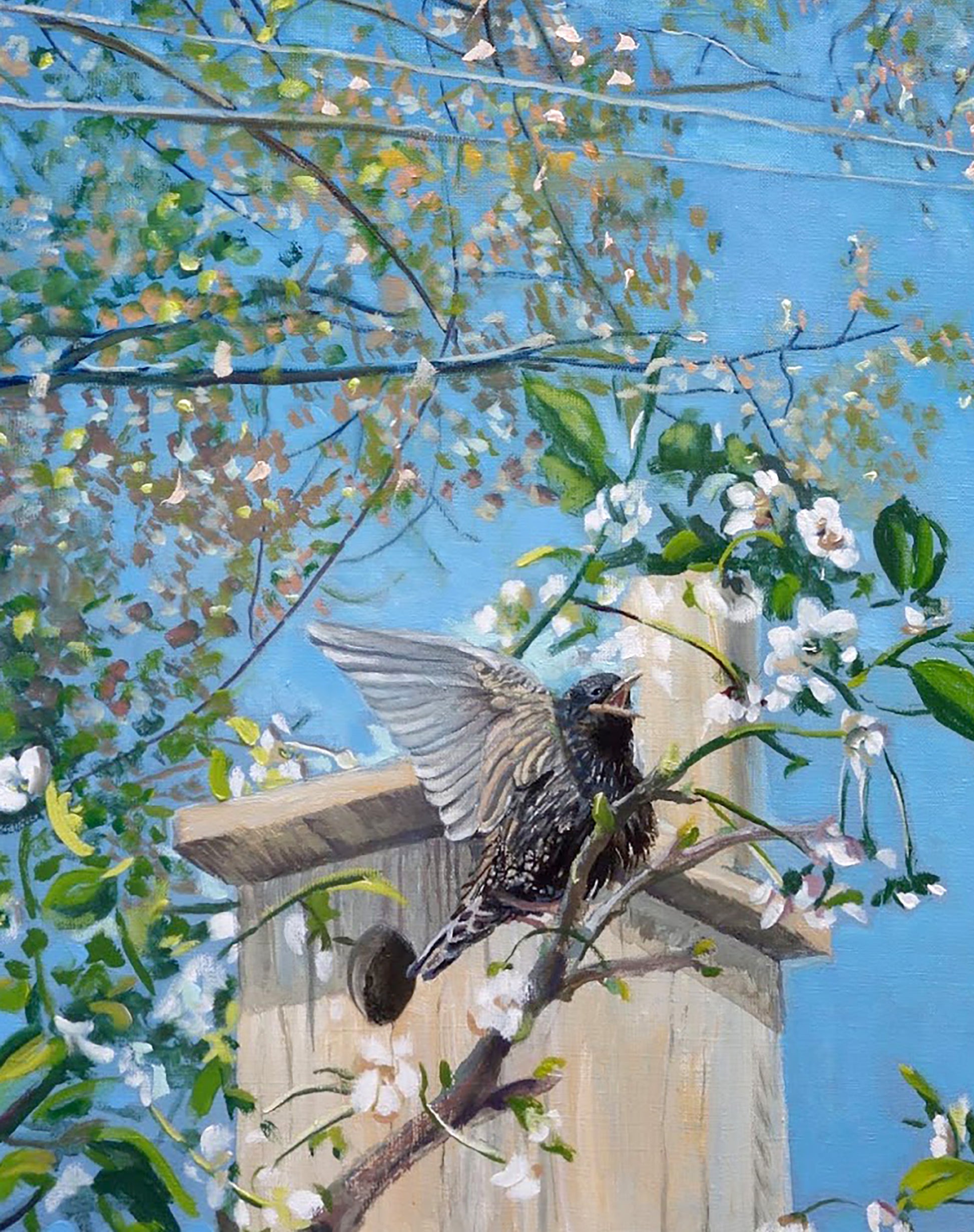 Oil painting of dark speckled starling with wings outstretched by Varvarov Anatoly Viktorovich