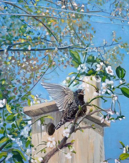 Oil painting of dark speckled starling with wings outstretched by Varvarov Anatoly Viktorovich