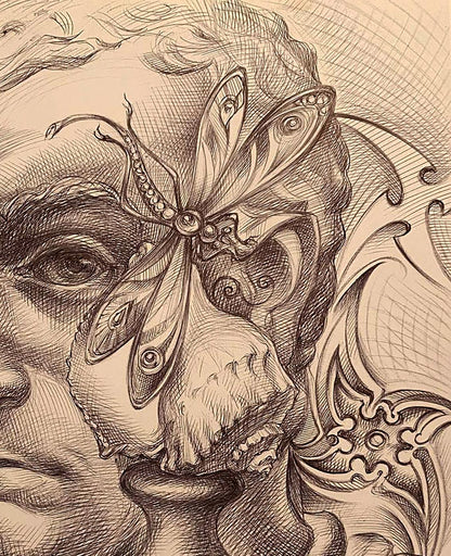 Detailed pencil sketch of butterfly on skull by Natalia Bulat