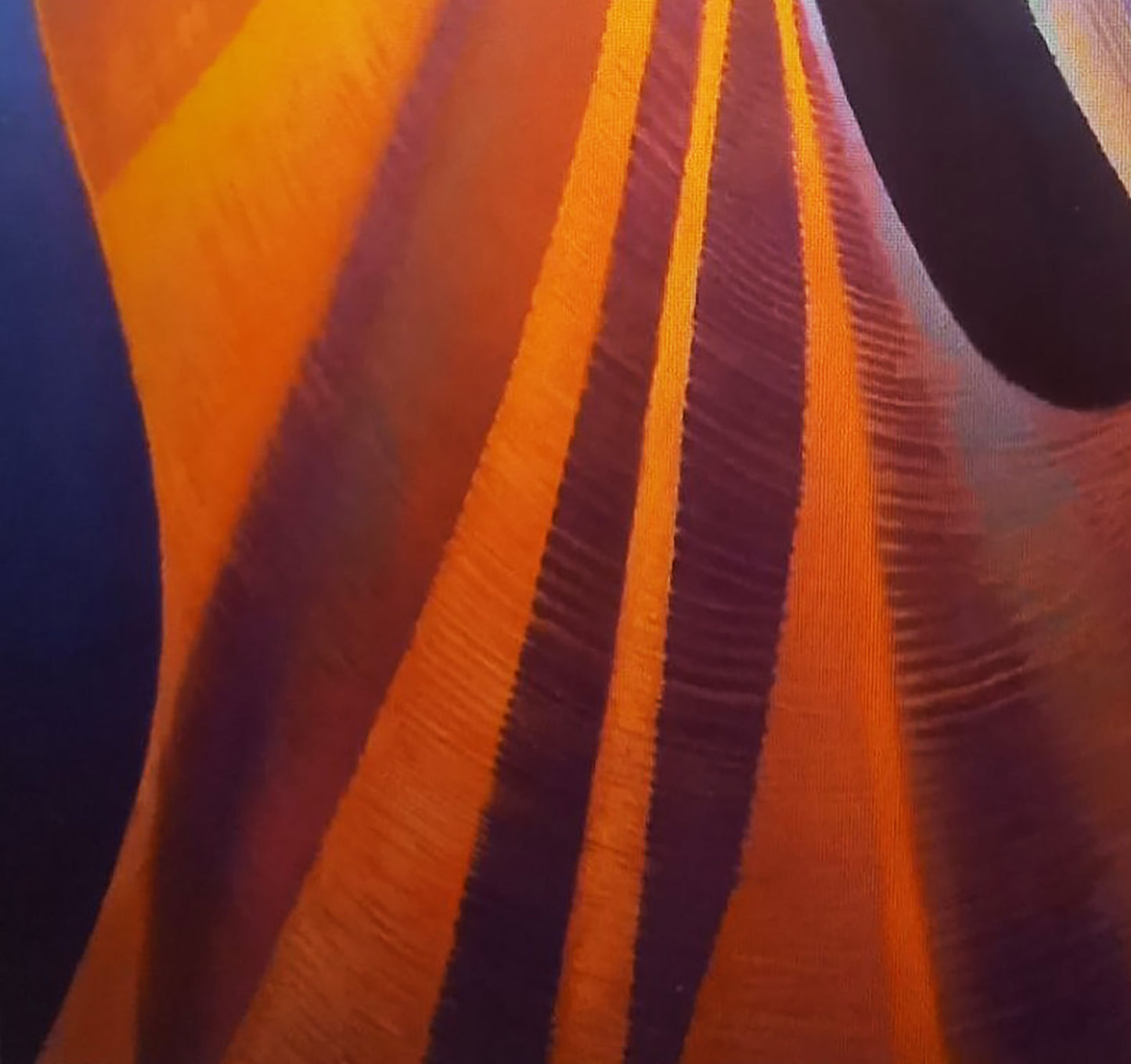 Vibrant orange purple striped ribbed fabric in Alexander Strashevich oil painting sculpture