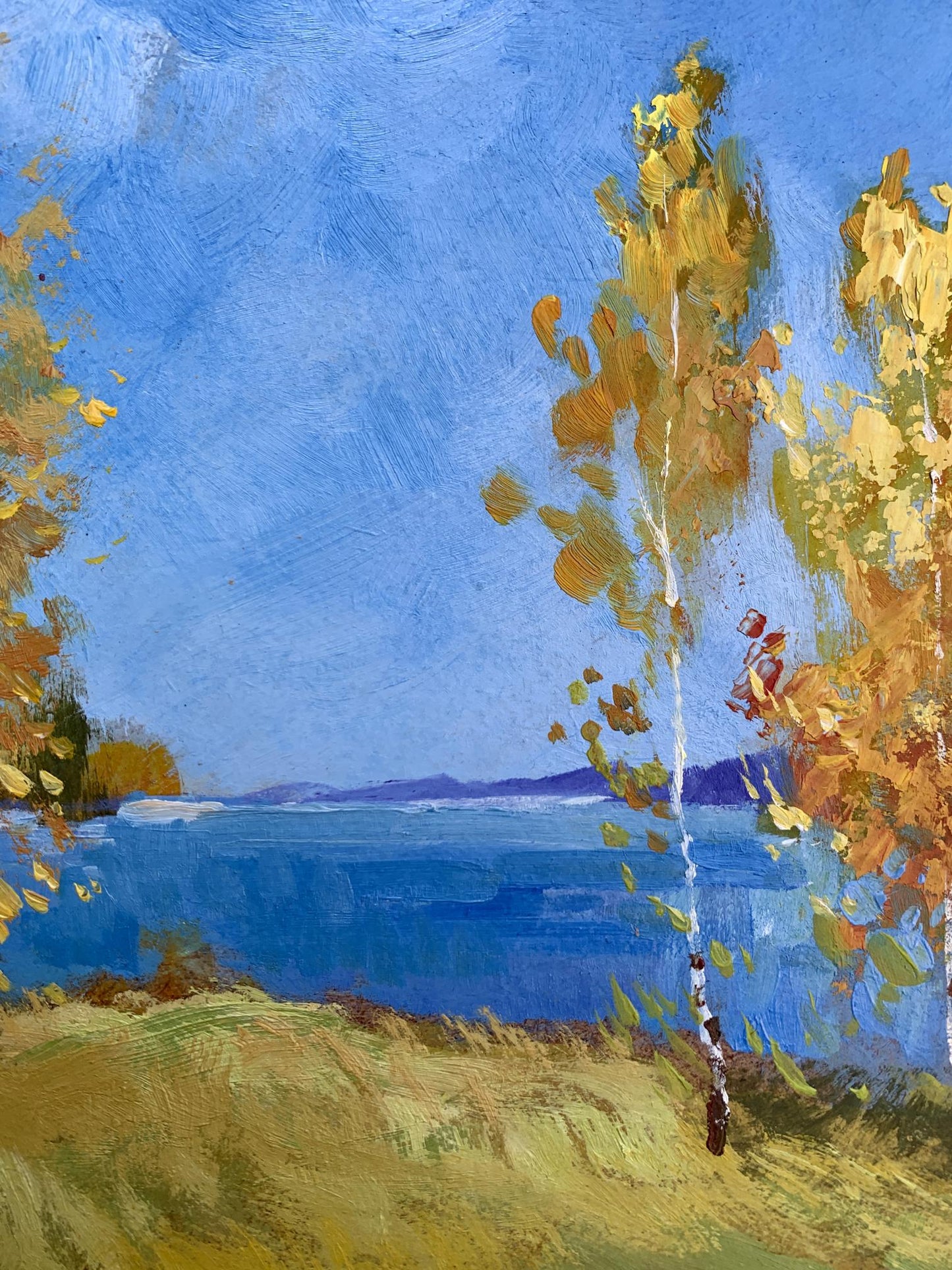 Oil painting Early autumn morning by Yuriy Suprunchuk: birch trees in golden leaves