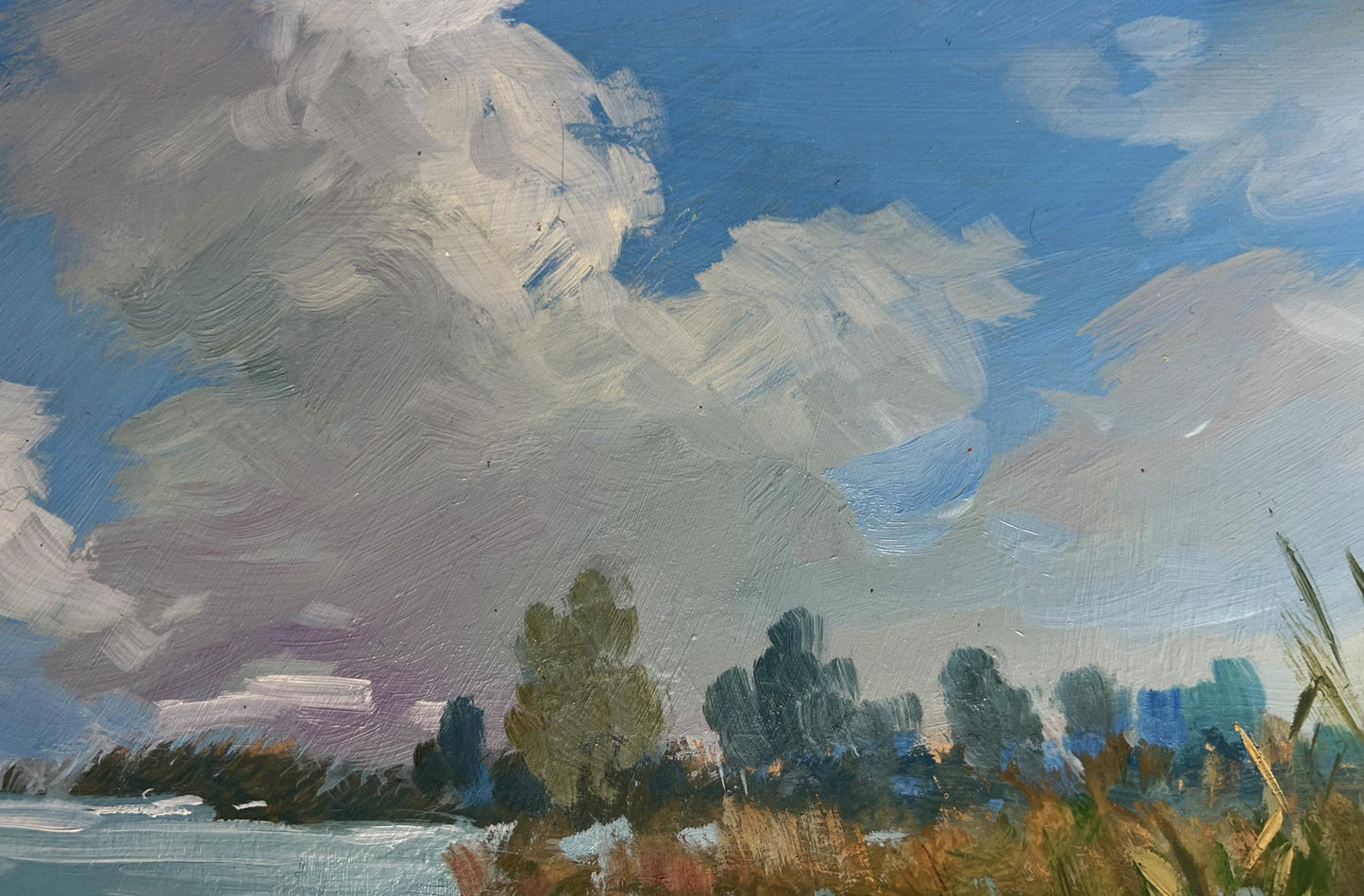 Oil painting of summer cloudy sky over trees by Yuriy Suprunchuk
