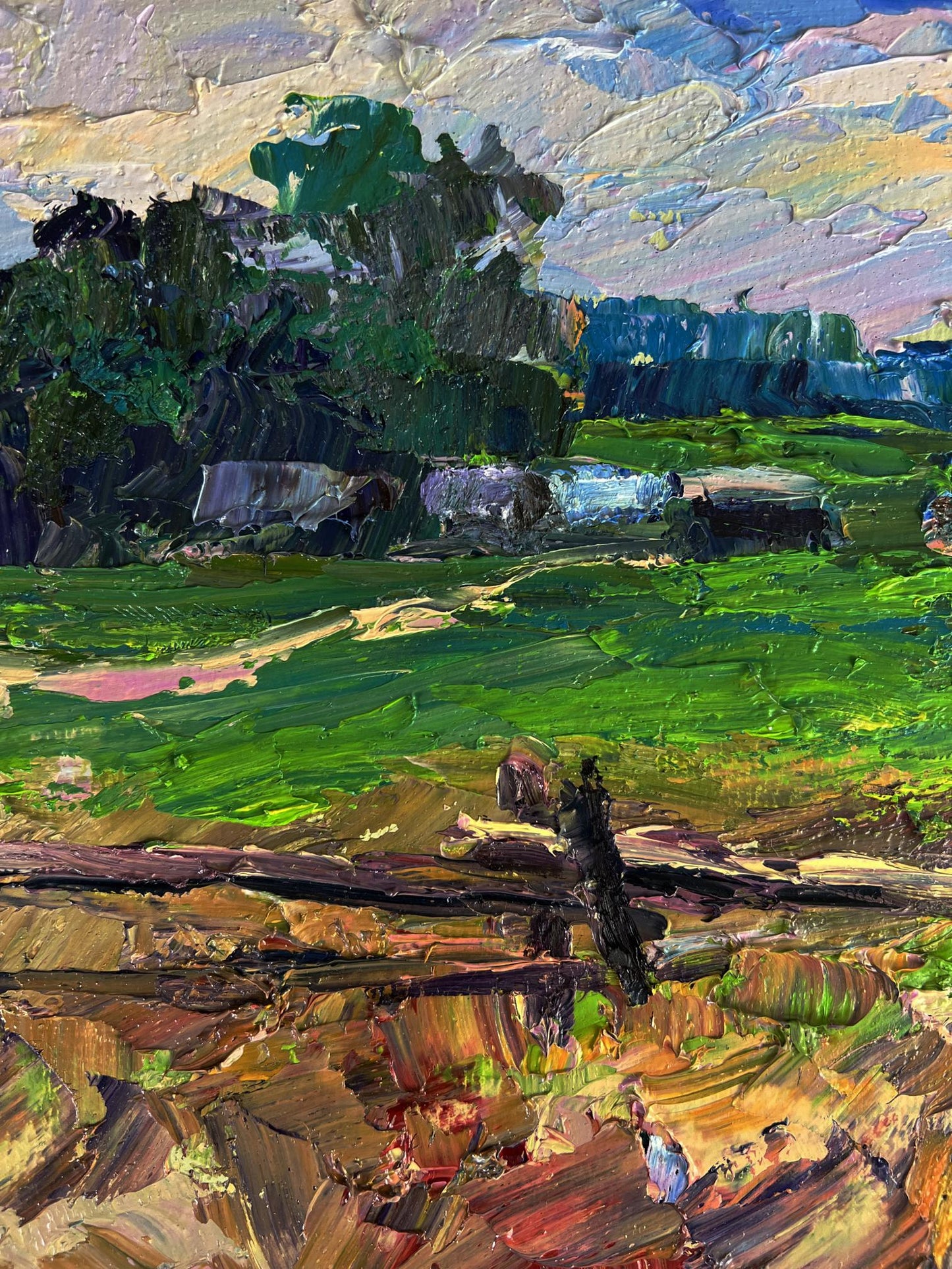 Oil painting The edge of the village by Boris Serdyuk, impressionist landscape