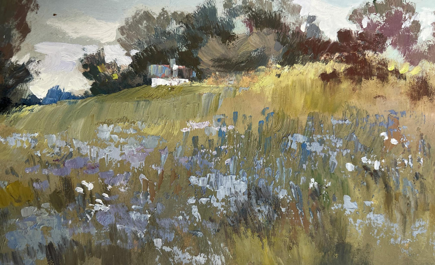 Oil painting Summer flower meadows by Yuriy Suprunchuk sunlit meadow