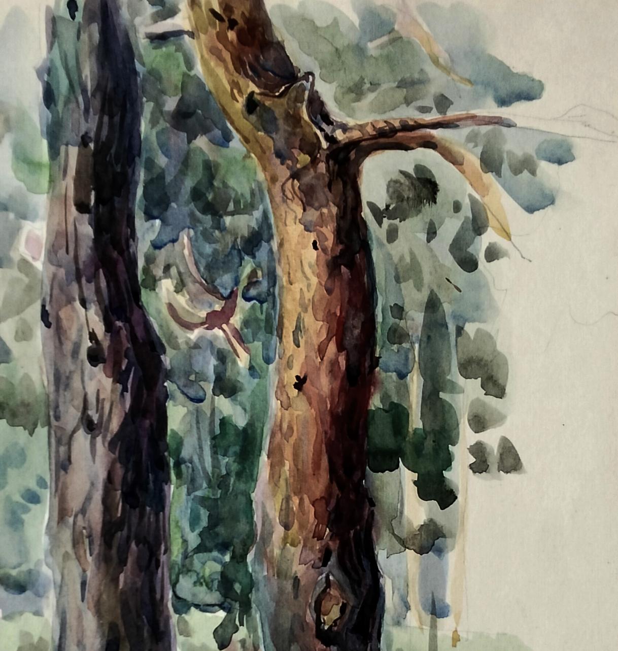 Watercolor painting of tree trunks by Vitaly Duhnevich