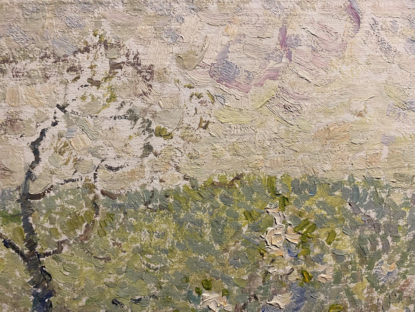 Oil painting Spring by Viktor Sevastiyanov: tree with white blossoms