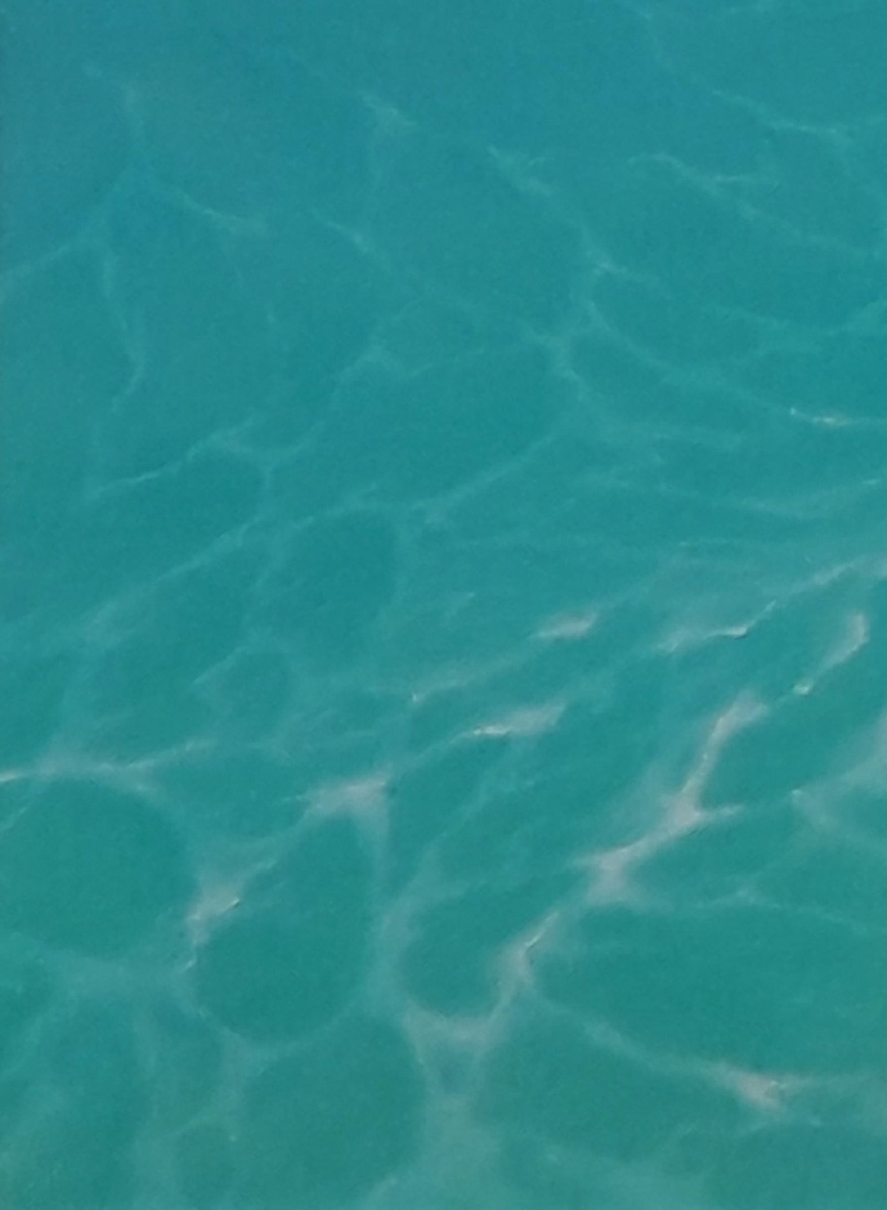 Oil painting by Vasily Korkishko: clear turquoise sea mirroring sky with rippling sunlight