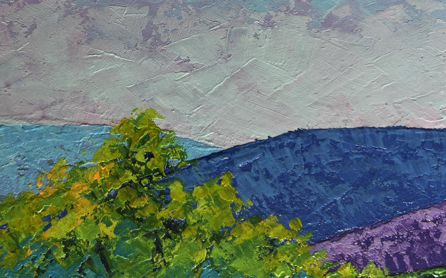Oil painting Mountain summer meadows by V. Zadorozhnya vibrant landscape