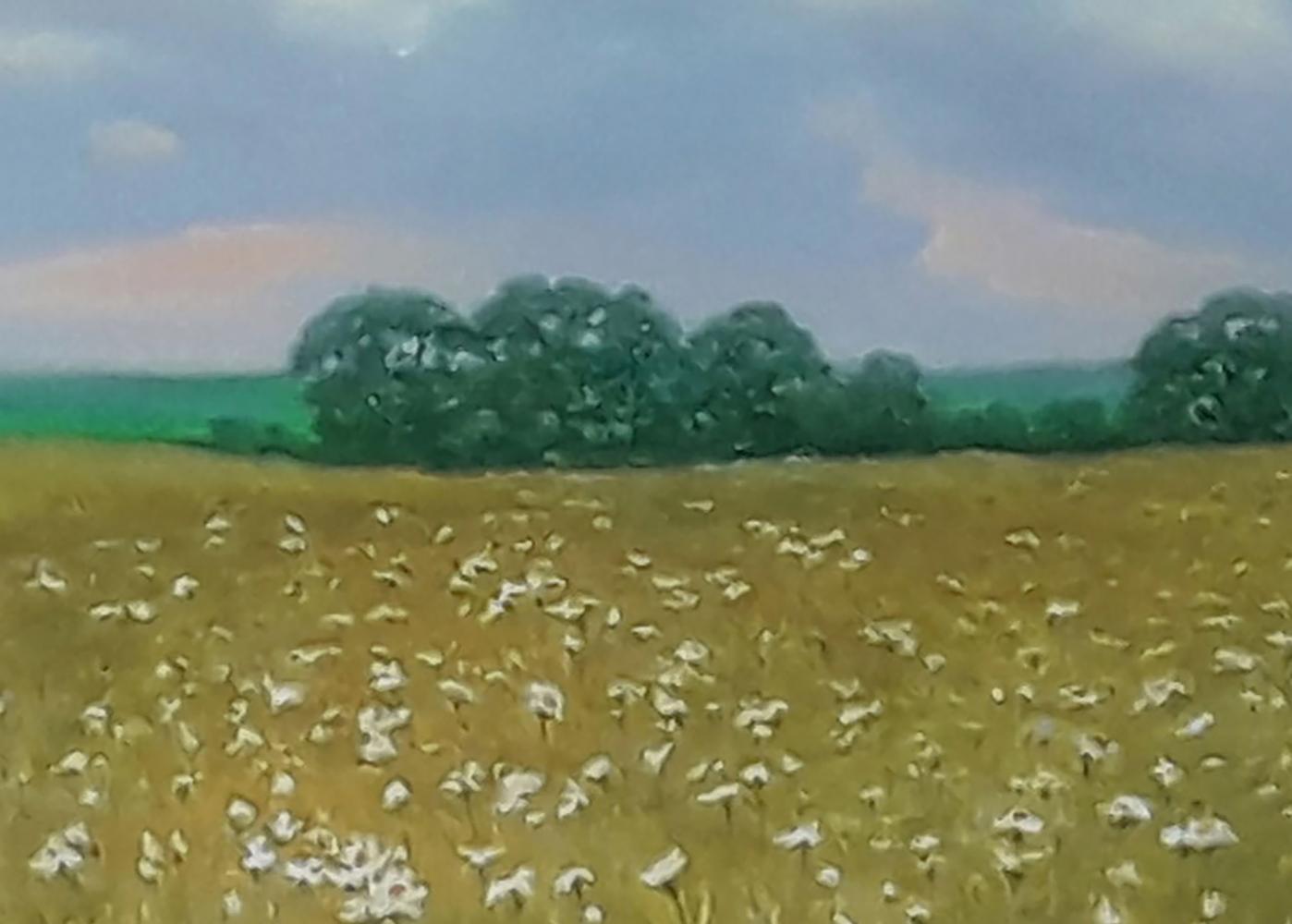 Oil painting of white daisies in golden field by Vasily Korkishko