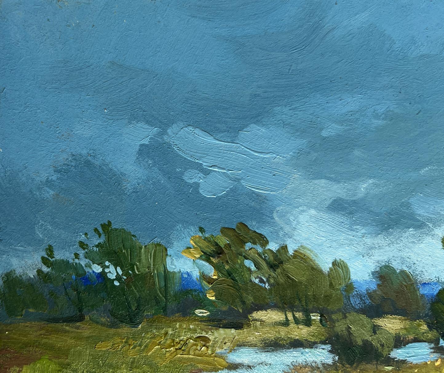 Oil painting A small flood of the river Yuriy Suprunchuk