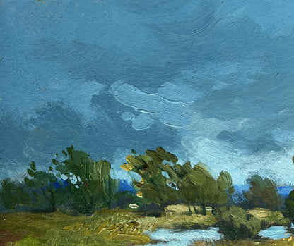 Oil painting A small flood of the river Yuriy Suprunchuk