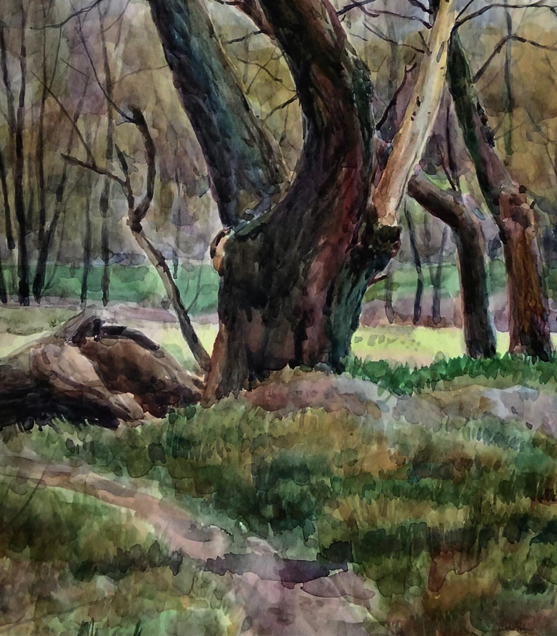Watercolor painting of gnarled tree by Vitaly Duhnevich, Silent witnesses of secrets