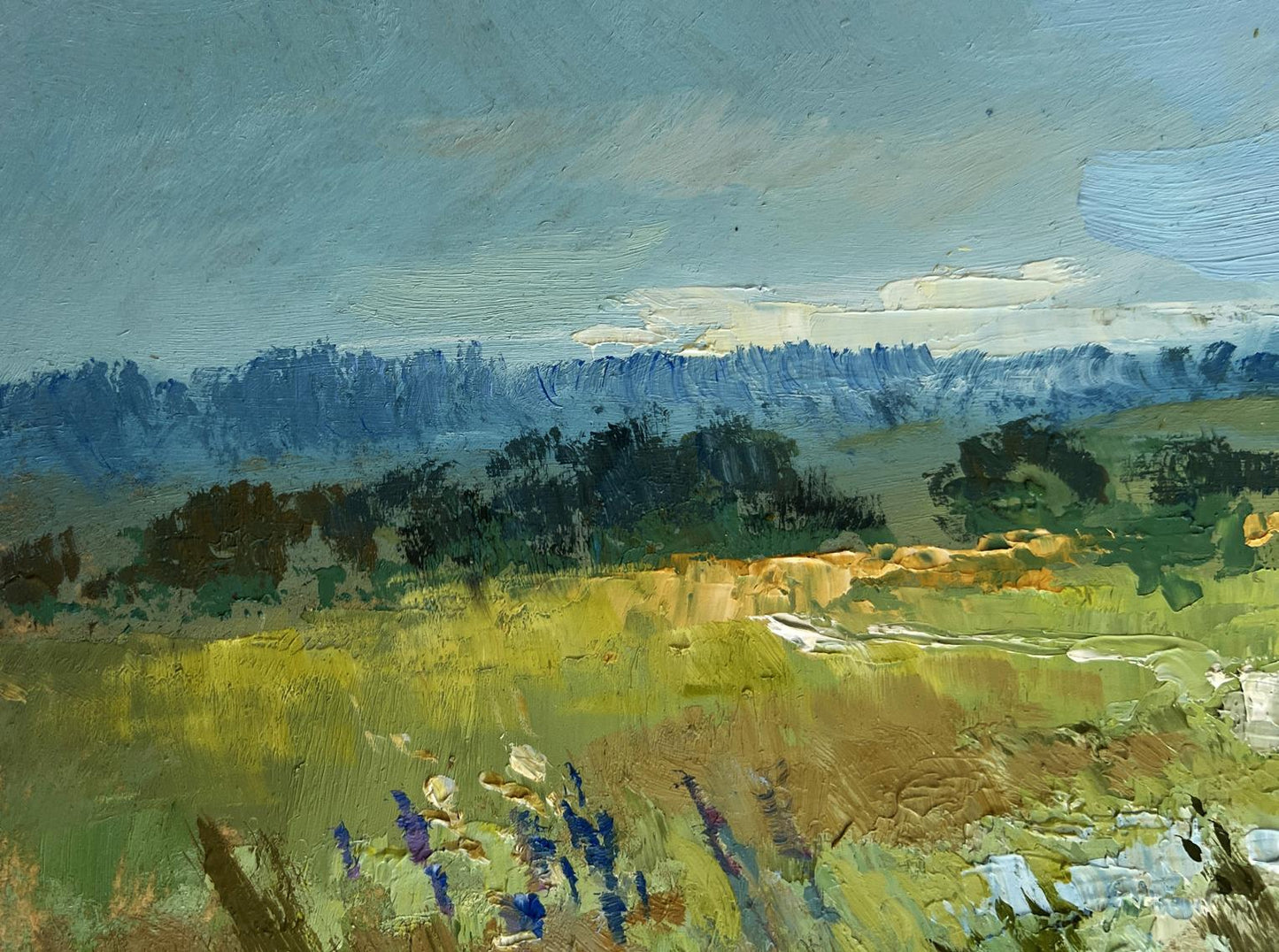 Oil painting On the summer flower meadows by Yuriy Suprunchuk