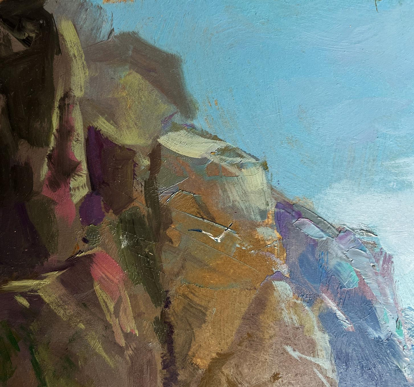 Oil painting of seagulls over sea on rocky cliff by Yuriy Suprunchuk