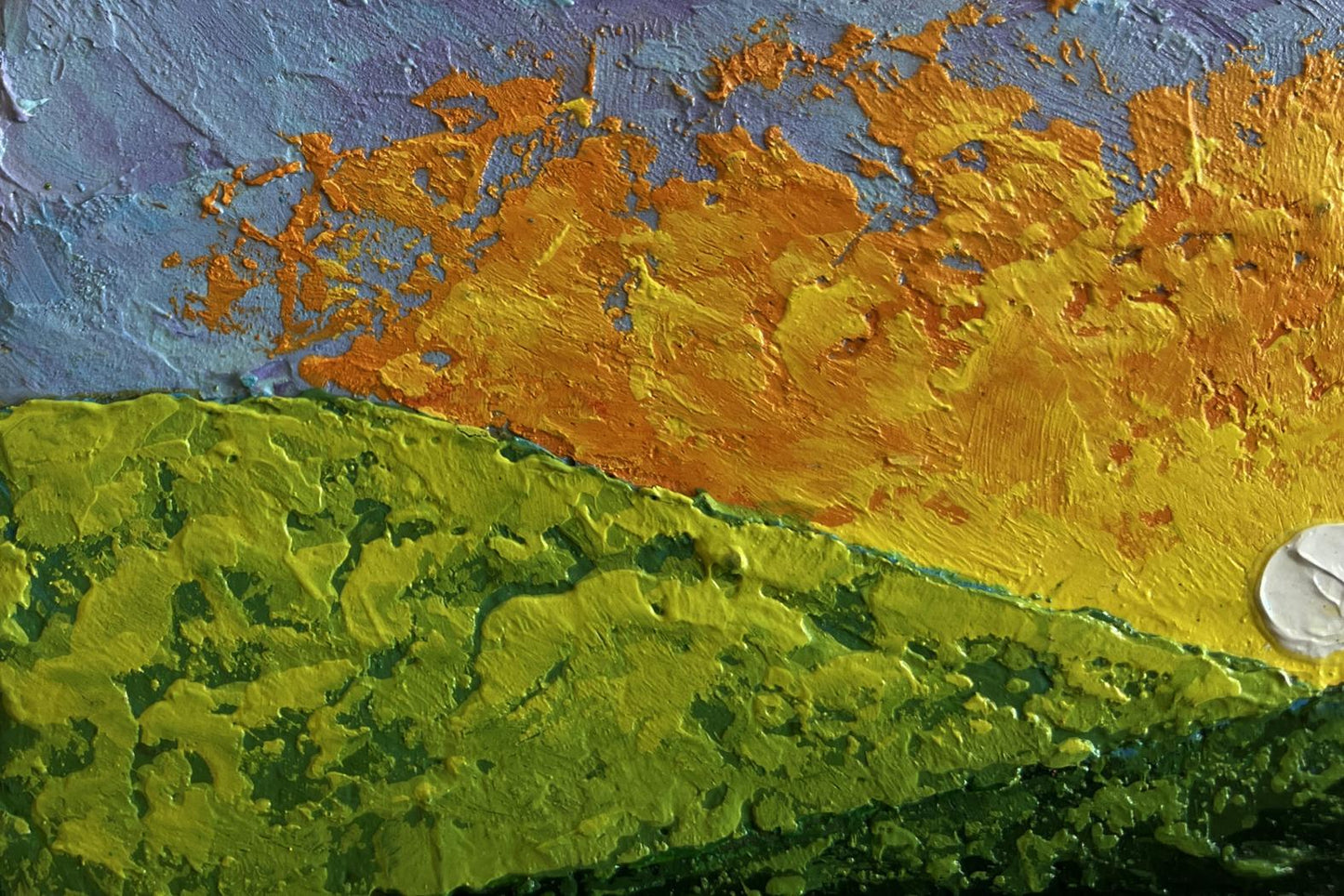 V. Zadorozhnya oil painting: textured sunset over flower field hills