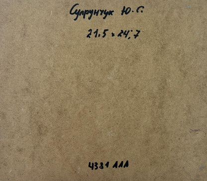 Back of Yuriy Suprunchuk oil painting Seagulls over seashore with Cyrillic text