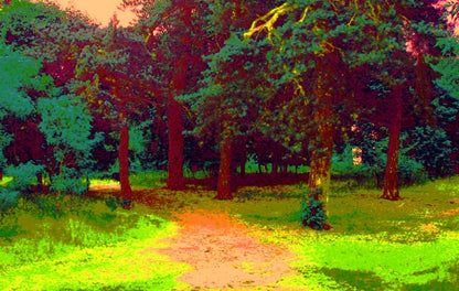landscape Art 