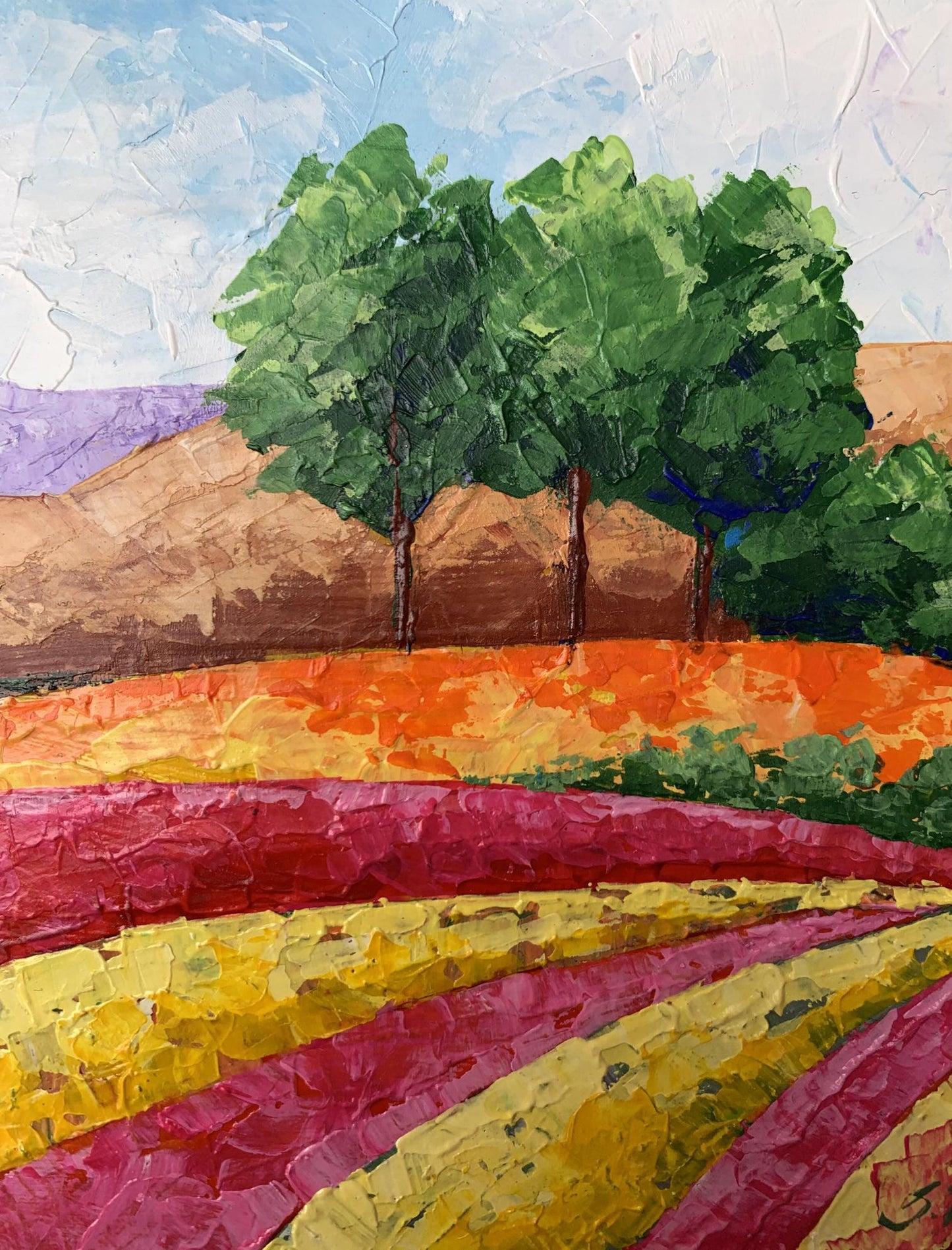 Oil painting Mountain fields V. Zadorozhnya: vibrant pink yellow flowers to green hills