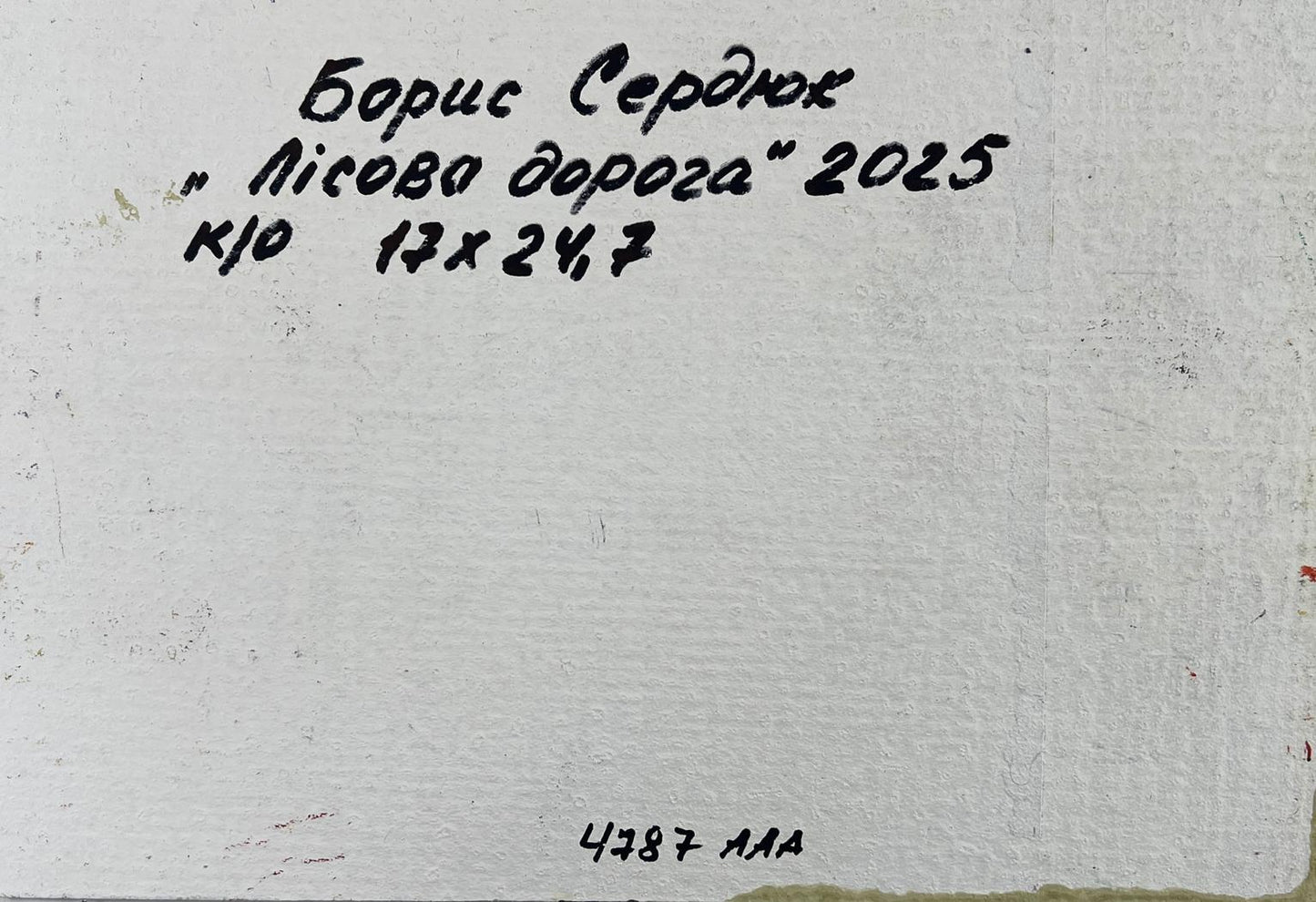 Back of Boris Serdyuk Lisova Doroga 2025 canvas with ink text