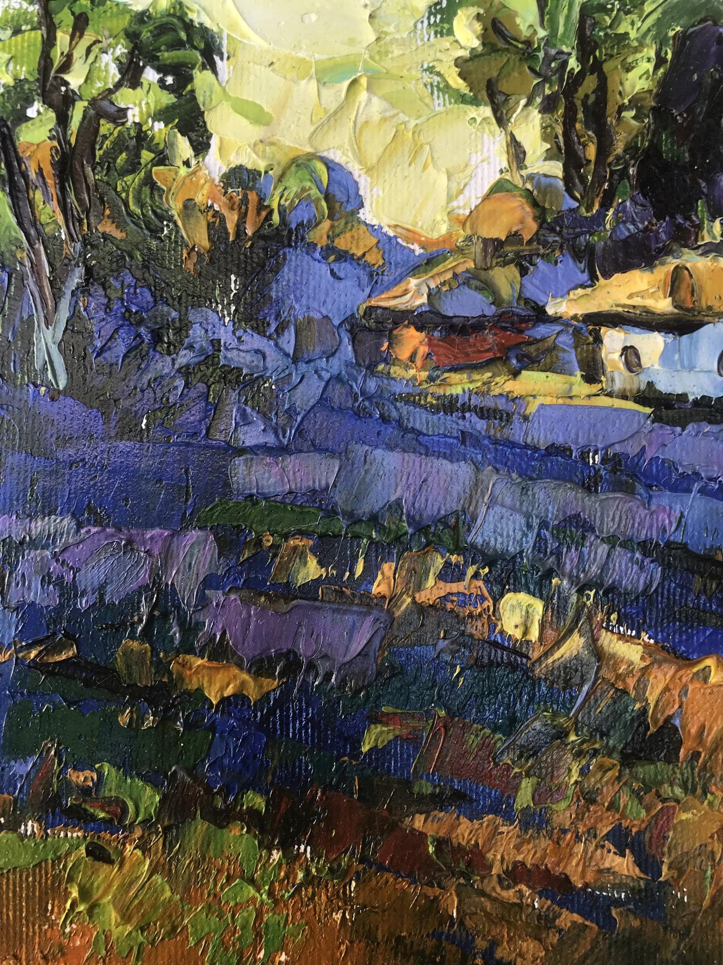 Evening rural landscape