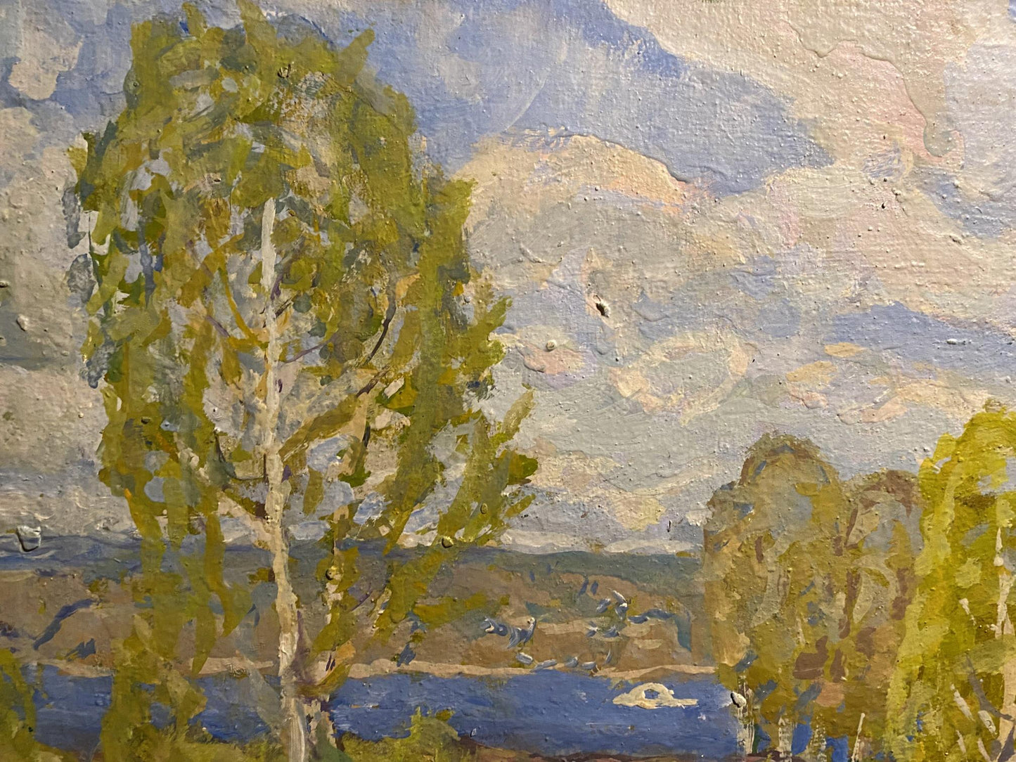 Oil painting Spring came by Georgy Kolosovsky: tall birch tree