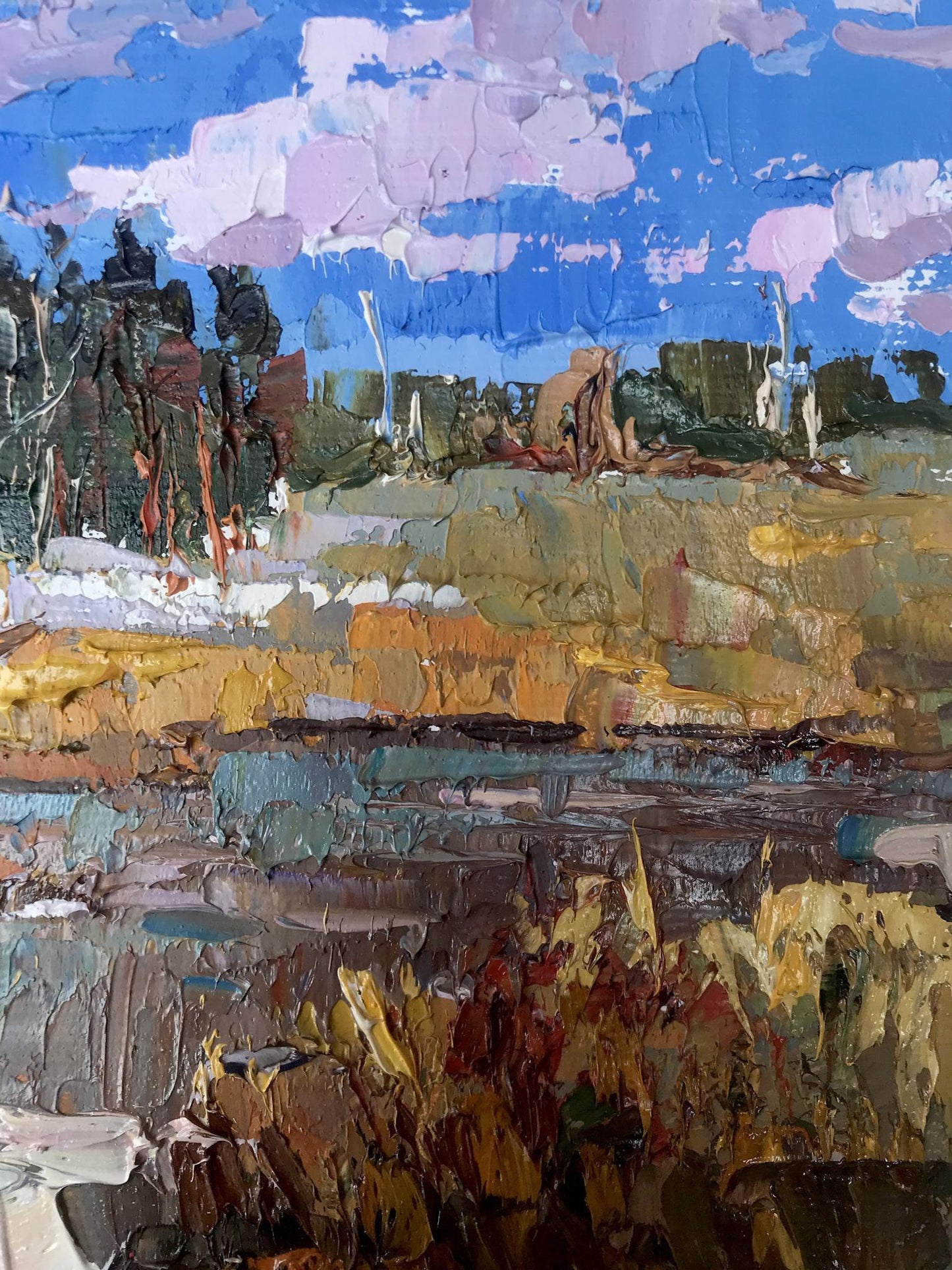 Spring River landscape 