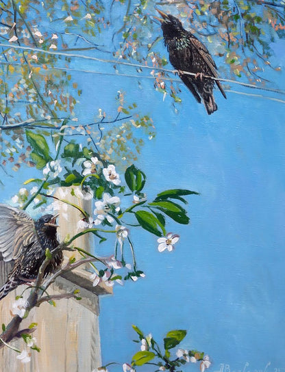 Oil painting Starling by Varvarov Anatoly Viktorovich, two starlings and flowers
