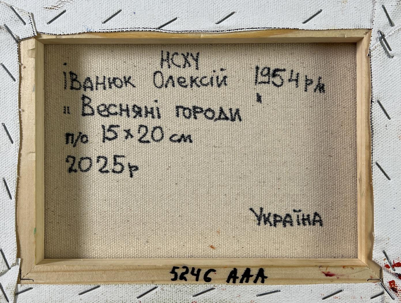Back of framed Vesnyanyi Gorod oil painting by Oleksiy Ivanok, 1954, 15x20 cm