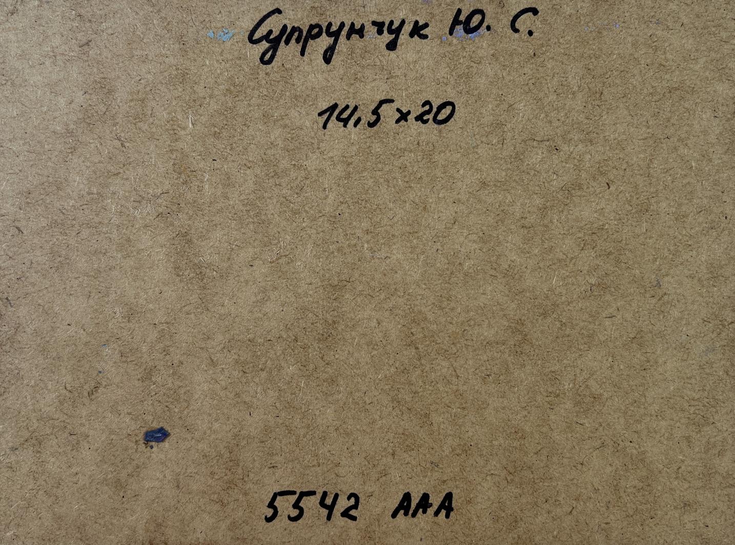 Back of Yuriy Suprunchuk Quiet Village oil painting with Cyrillic text and measurements