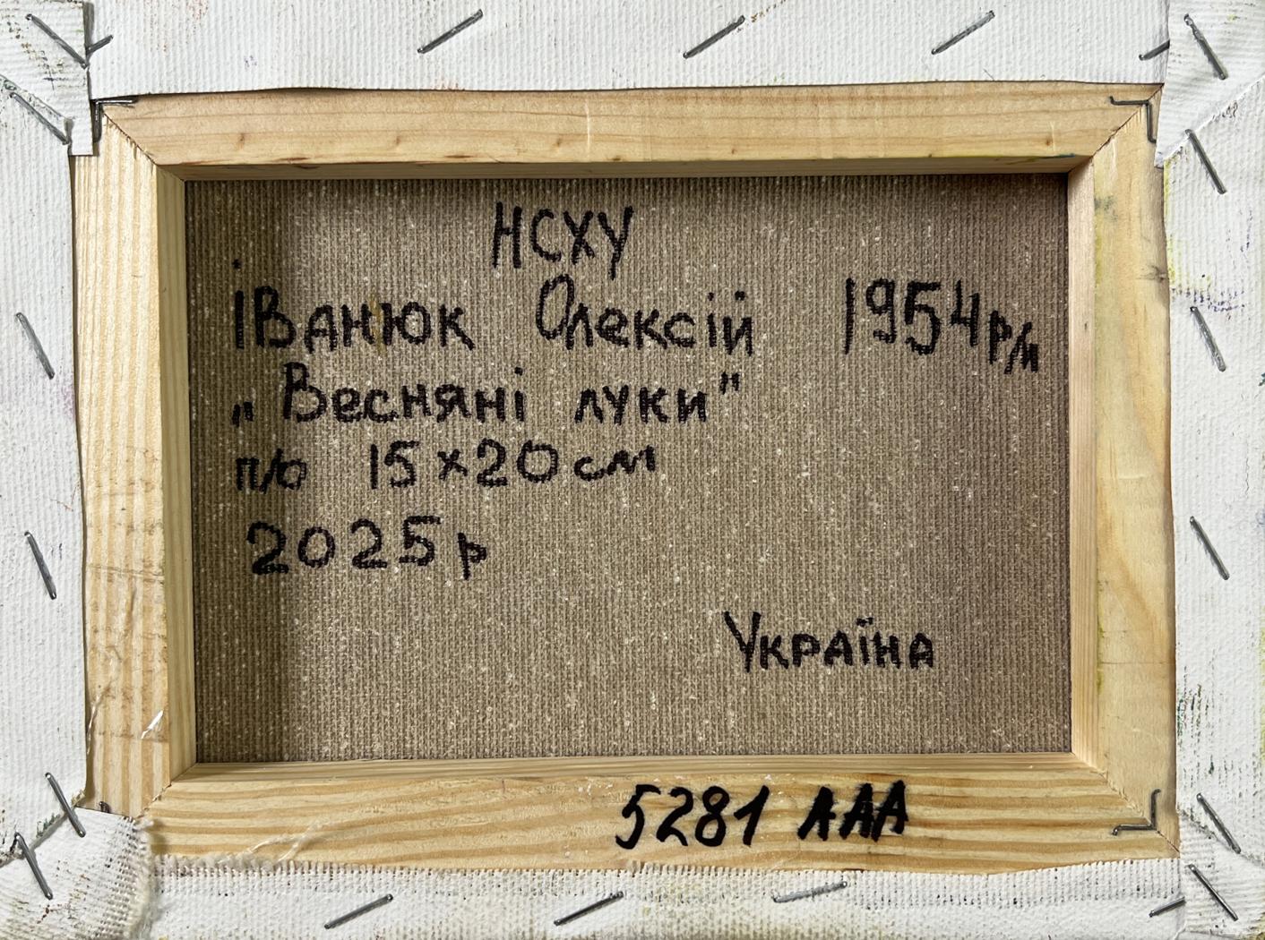 Back of Oleksiy Ivanyuk Spring on the meadows oil painting in wood frame
