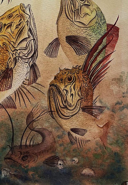 Watercolor painting of predatory fish by Dmytro Startsev