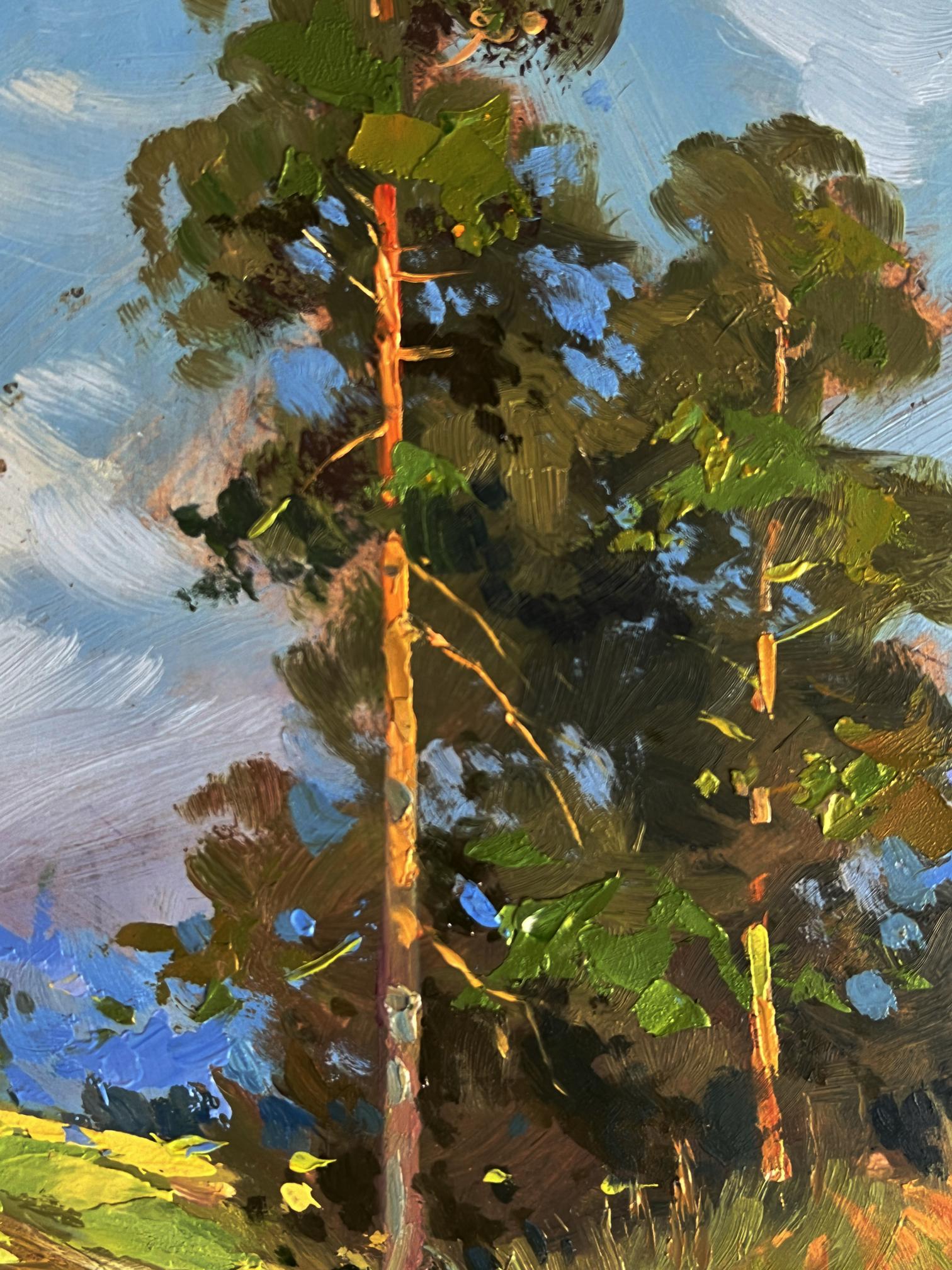Vibrant impressionist oil painting of pine trees by Yuriy Suprunchuk