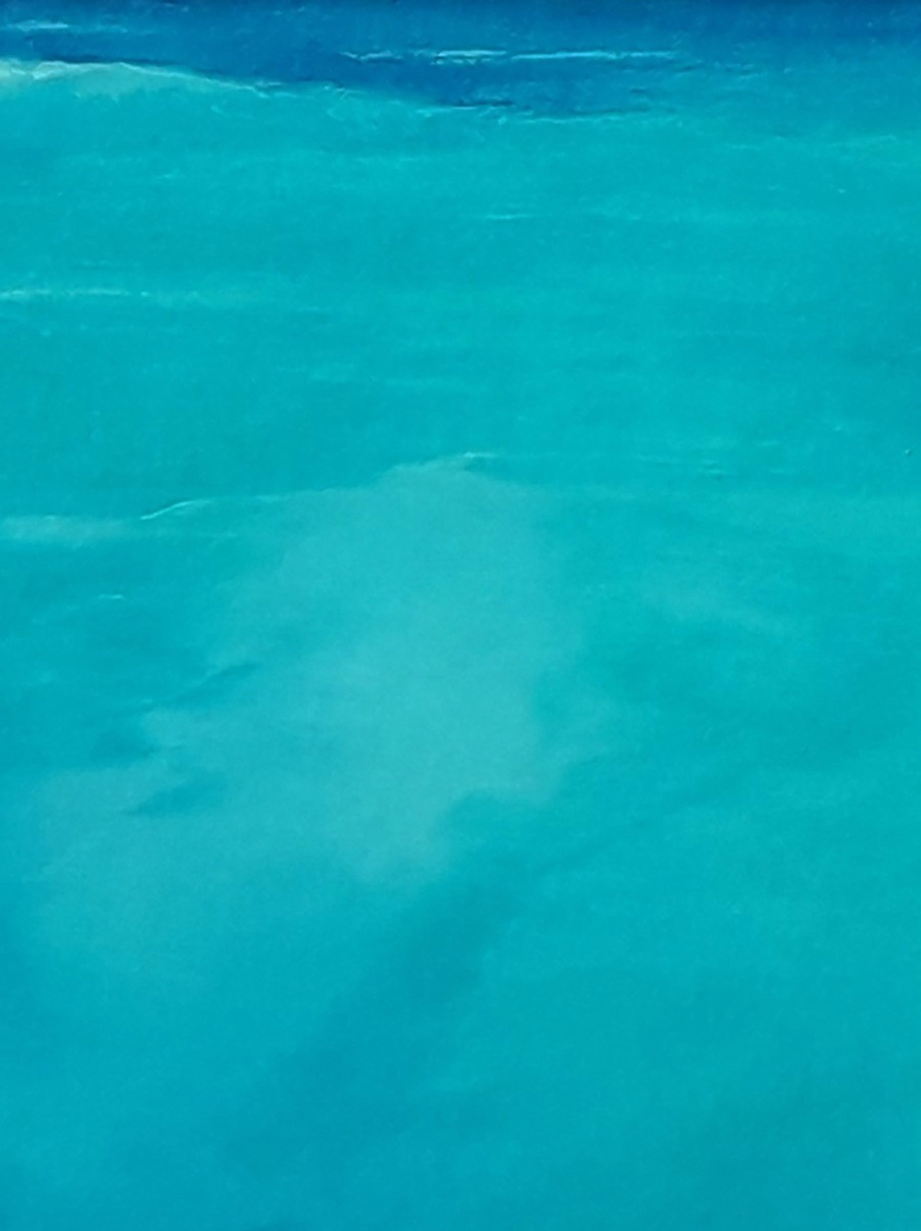 Oil painting The Silence of the Seabed by Vasily Korkishko with clear turquoise water ripples
