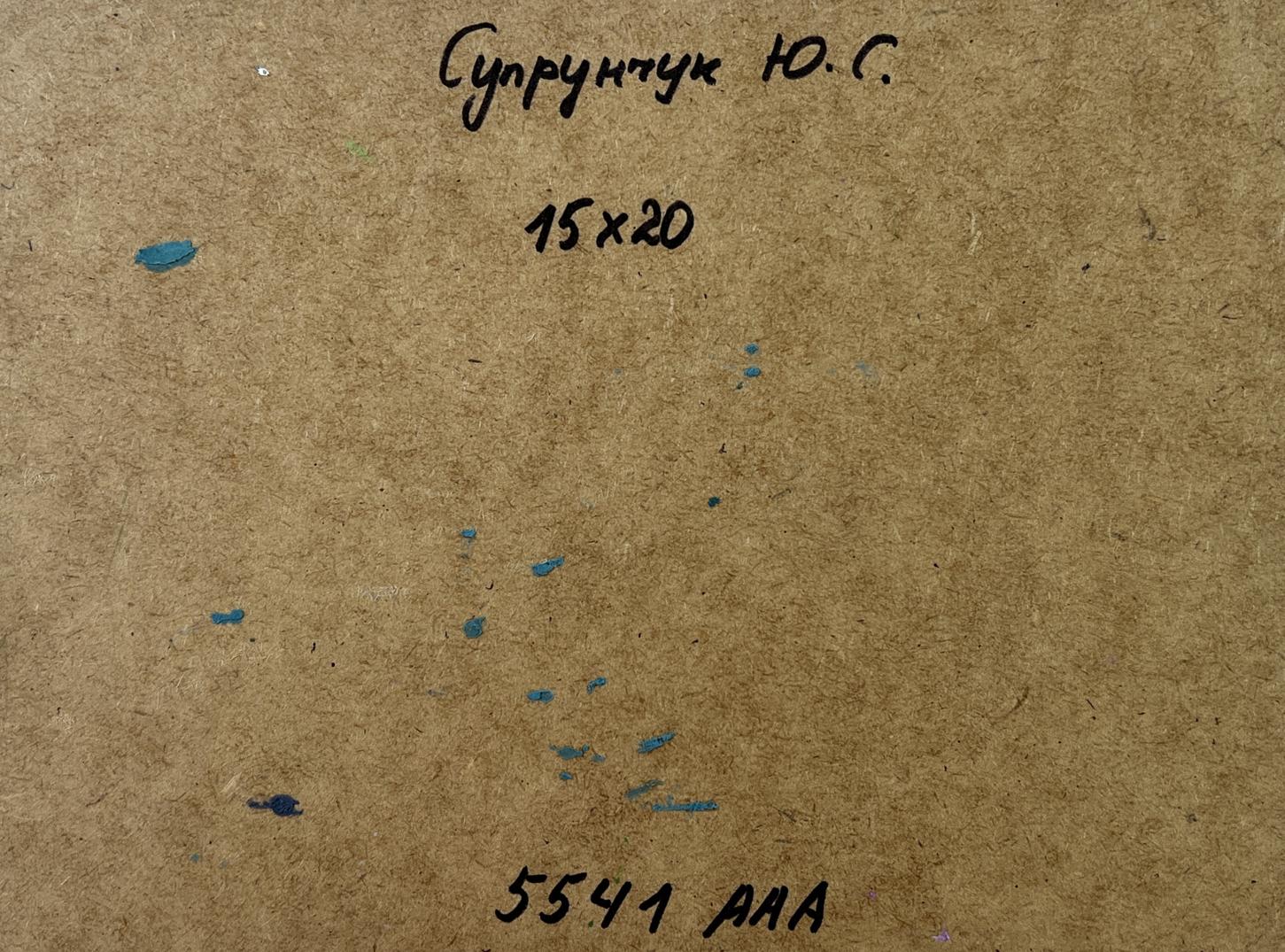 Back of Yuriy Suprunchuk oil painting City Central Bridge with Cyrillic text and blue splatters