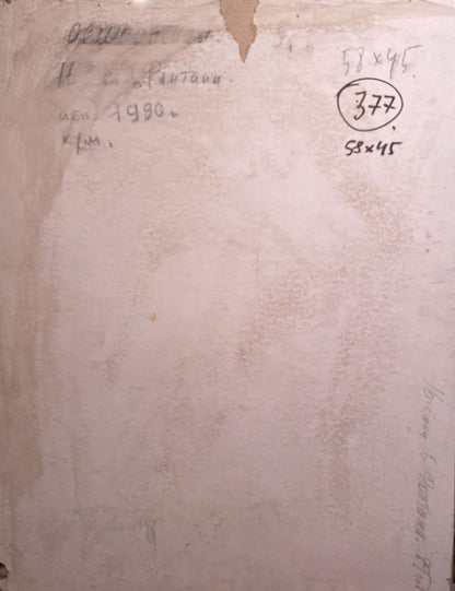 Back of oil painting with sea views: weathered paper, handwritten notes, circled 377